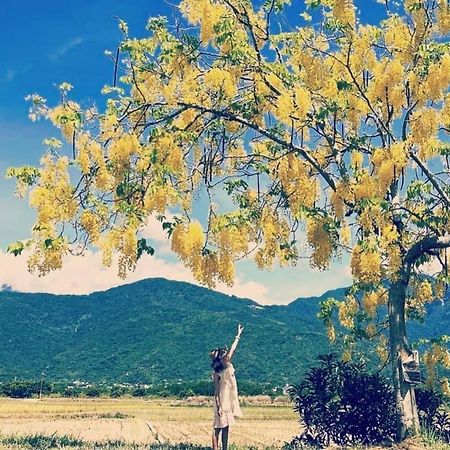 Pu Shi Homestay Yuli Buitenkant foto