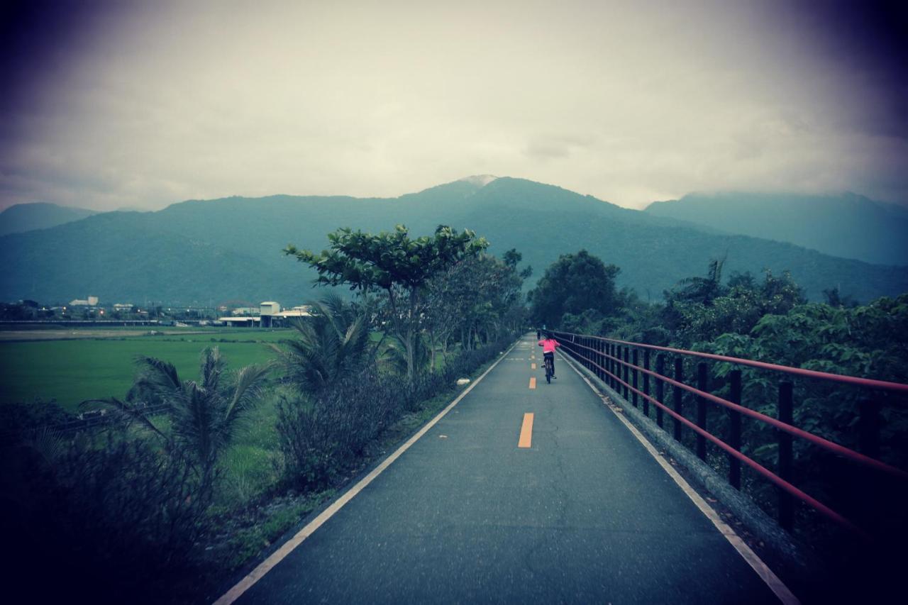 Pu Shi Homestay Yuli Buitenkant foto