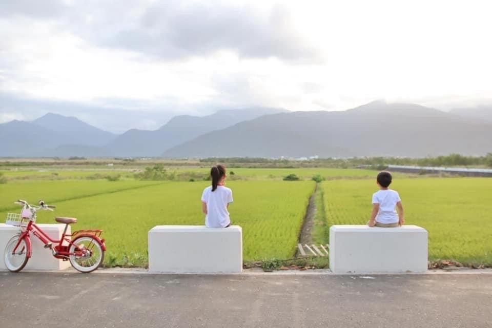Pu Shi Homestay Yuli Buitenkant foto