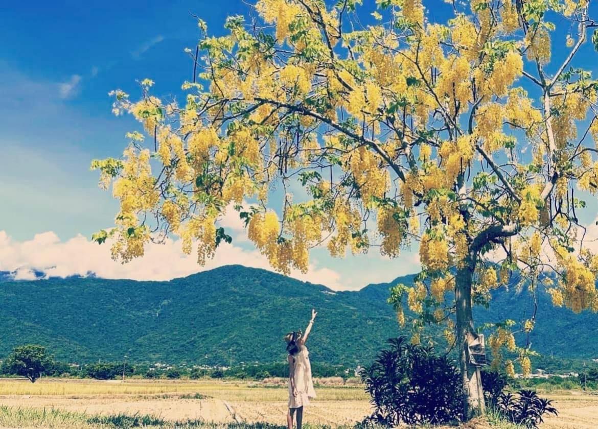 Pu Shi Homestay Yuli Buitenkant foto