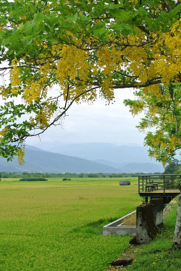 Pu Shi Homestay Yuli Buitenkant foto